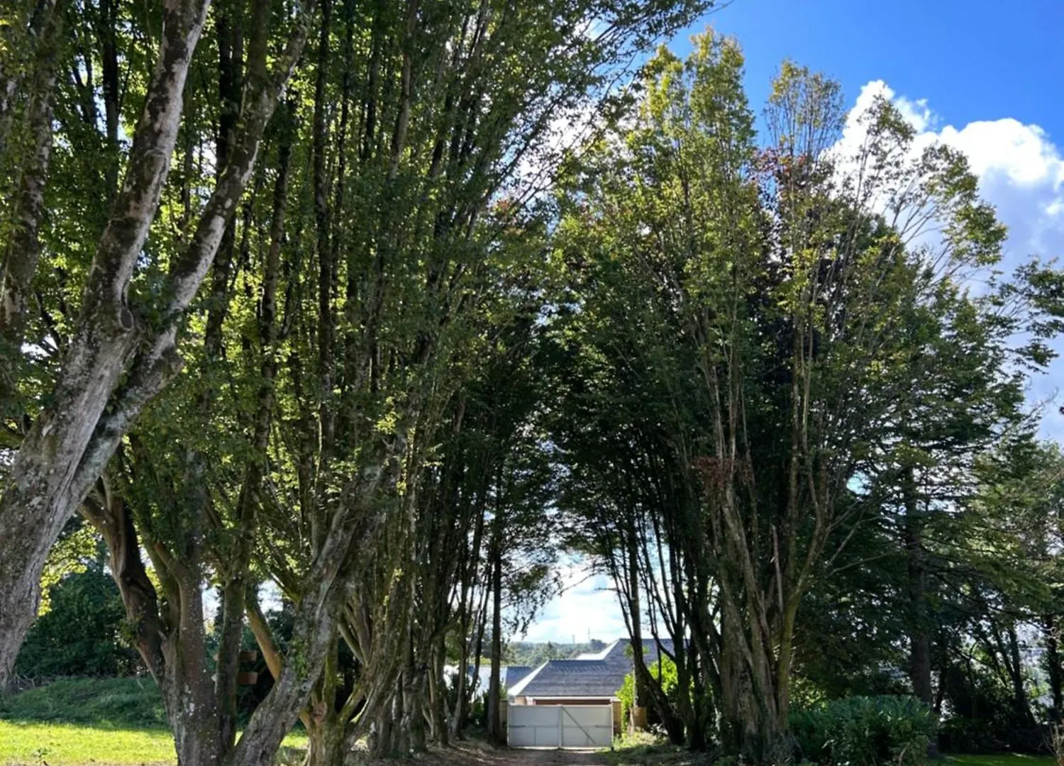 Bed and Breakfast Reve De Clarte Plouigneau